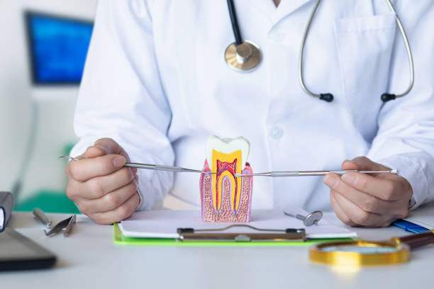 Best Orthodontic Emergency Dentist in Eidson Road, TX